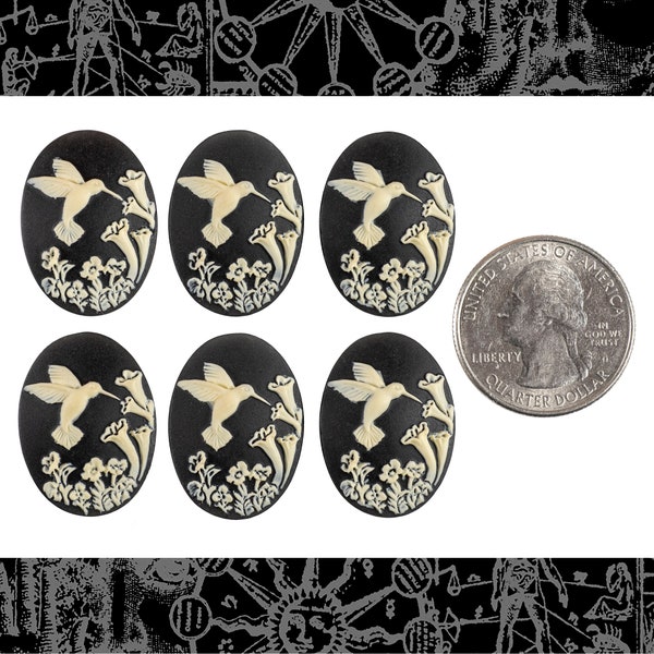 Black and Cream Hummingbird Cameos 25mm x 18mm - Set of Six - CAM182