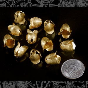 Puede incluir: Doce cuentas de metal de color dorado en forma de flor, cada una con una superficie texturizada, dispuestas en círculo sobre un fondo negro. Una moneda de euro de plata está en la esquina inferior derecha de la imagen.