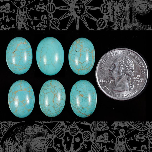 Turquoise Stone 13mm x 18mm Flat Back Cabochons - Set of Six - STC-02