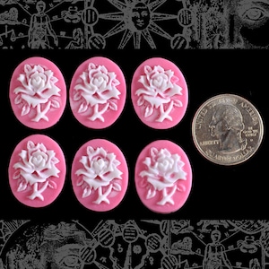 ビクトリア ローズ ピンク カメオ | 5 個パック | 淡いピンクと白の  