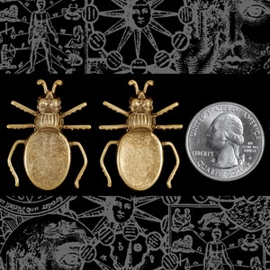 Antiqued Brass Beetle Flat Setting on Back Pendant - Set of Two - AB-P71