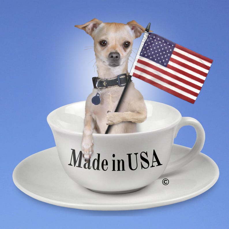 May include: A small, tan chihuahua dog sits in a white teacup with a saucer. The dog is holding a small American flag. The teacup has the words "Made in USA" printed on the side.