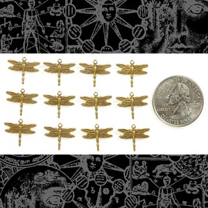 May include: Twelve gold-toned dragonfly charms with a textured finish. The charms are approximately the size of a US quarter.