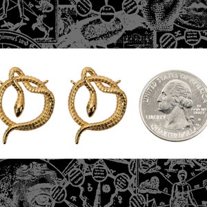 May include: Two gold-toned snake earrings in the shape of a circle. The earrings are about the size of a US quarter.