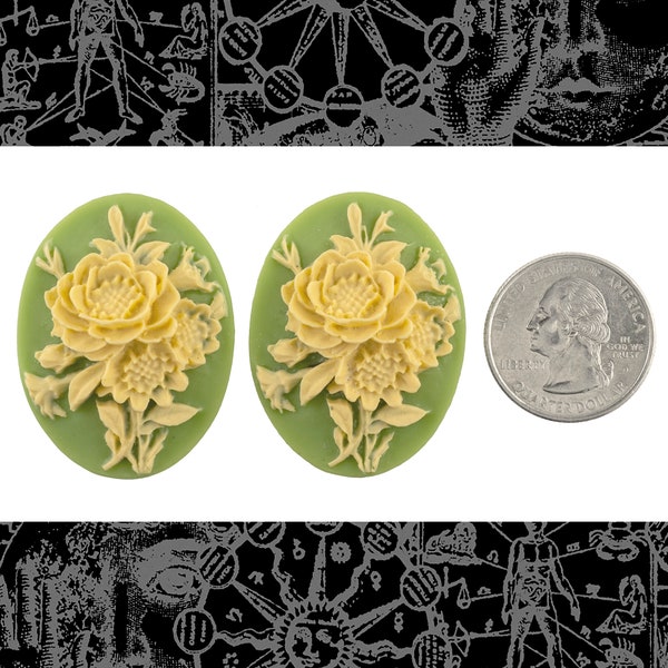 Vintage Green and Cream Floral 30mm x 40mm Resin Cameos - Set of Two - CAM153