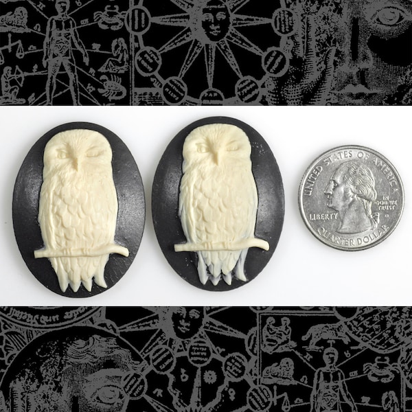 Owl Cameos Black and Ivory 30mm x 40mm Resin Cameos - Set of Two - CAM121