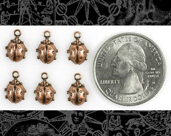 May include: Six copper-colored ladybug charms with a shiny finish. The charms are about the size of a US quarter.