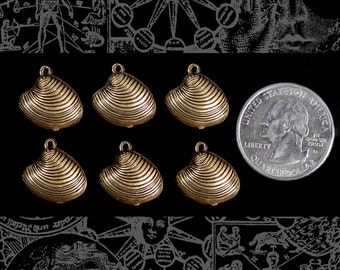 May include: Six gold-colored clam shell charms with a textured surface. The charms are arranged in two rows of three. A US quarter dollar coin is included for size reference.