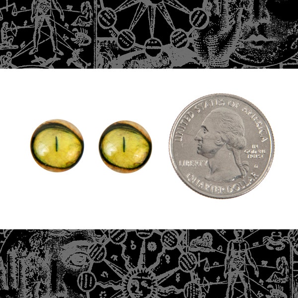 12mm Round  Yellow Cat Eye Cabochons Set of Two *CAB47