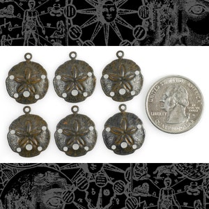 Rostiga svarta små sanddollarberlocker set om sex * RB-C115
