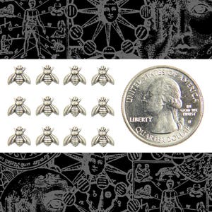 Può includere: Dodici ciondoli a forma di ape in argento con dettagli intricati. I ciondoli sono disposti in quattro file di tre. Una moneta da un quarto di dollaro americano è inclusa come riferimento per le dimensioni.