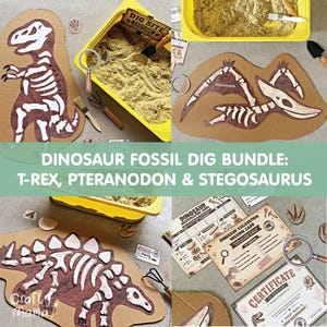 Könnte beinhalten: Ein Dinosaurier-Fossilien-Ausgrabungsset mit Pappaufstellern von T-Rex-, Pteranodon- und Stegosaurus-Skeletten, einer gelben Wanne mit Sand, Ausgrabungswerkzeugen, einer Lupe, Identifikationskarten, Missionskarten und einem Entdeckungszertifikat.