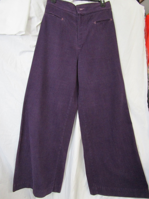 Levi Strauss Vintage Brushed Denim Purple Gauchos,