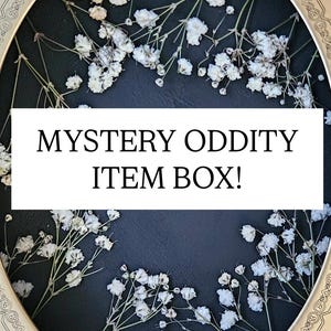 May include: A circular frame with a gold-toned border containing a black background decorated with white baby's breath flowers. A white rectangular label in the center features the black text MYSTERY ODDITY ITEM BOX! in a serif font.