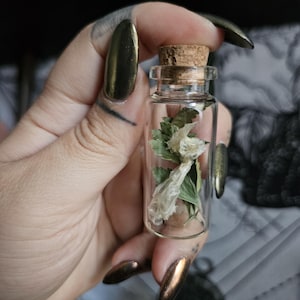 May include: A small, clear glass vial sealed with a natural cork stopper. Inside the transparent bottle, there are dried green leaves and a pale, translucent, fibrous plant element arranged vertically within the narrow glass container.