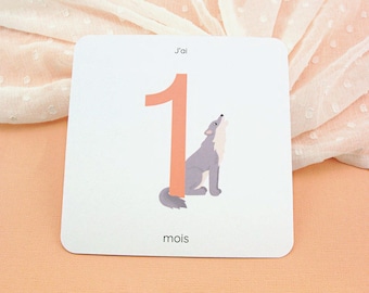 Baby milestone cards, first year, animals