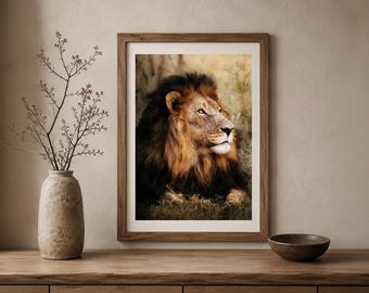 Black Maned Lion Photo Print: South Africa Safari Wildlife Wall Art