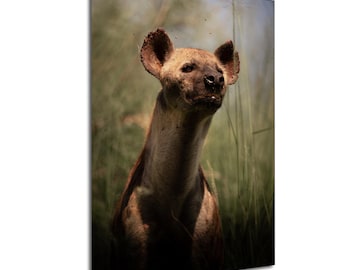 Impresión fotográfica de hiena alfa: Arte mural de depredadores de safari de vida silvestre africana