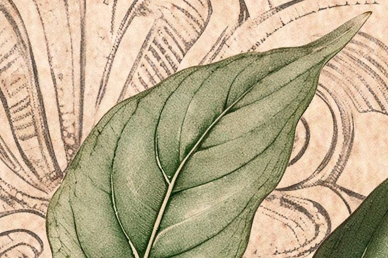 Puede incluir: Primer plano de una ilustraci&oacute;n bot&aacute;nica con una gran hoja verde con venas prominentes. La hoja se encuentra sobre un fondo de tonos beige y sepia descoloridos con patrones estilizados de flores y hojas, creando una est&eacute;tica vintage.
