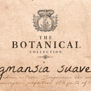 Puede incluir: Una impresi&oacute;n bot&aacute;nica de estilo vintage sobre un fondo beige. El texto dice "The Botanical Collection" y "Brugmansia suaveolens". Un escudo detallado con una corona y elementos florales se encuentra en la parte superior. El dise&ntilde;o general tiene una est&eacute;tica cl&aacute;sica y envejecida.