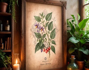 Witchcraft Botanical Art Print: Vintage Herbology, Dark Academia, Poisonous Botany (Digital Download)