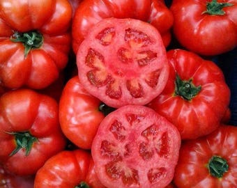 Tomate Çanakkale Türkische Fleischtomate 10 Samen Tomaten Saftig Gemüse Samen Tomaten Saatgut Samenfest Saftige Tomate