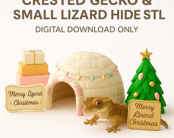 File STL della grotta del geco crestato – Igloo per rettili stampato in 3D per piccole lucertole, decorazione per terrario digitale