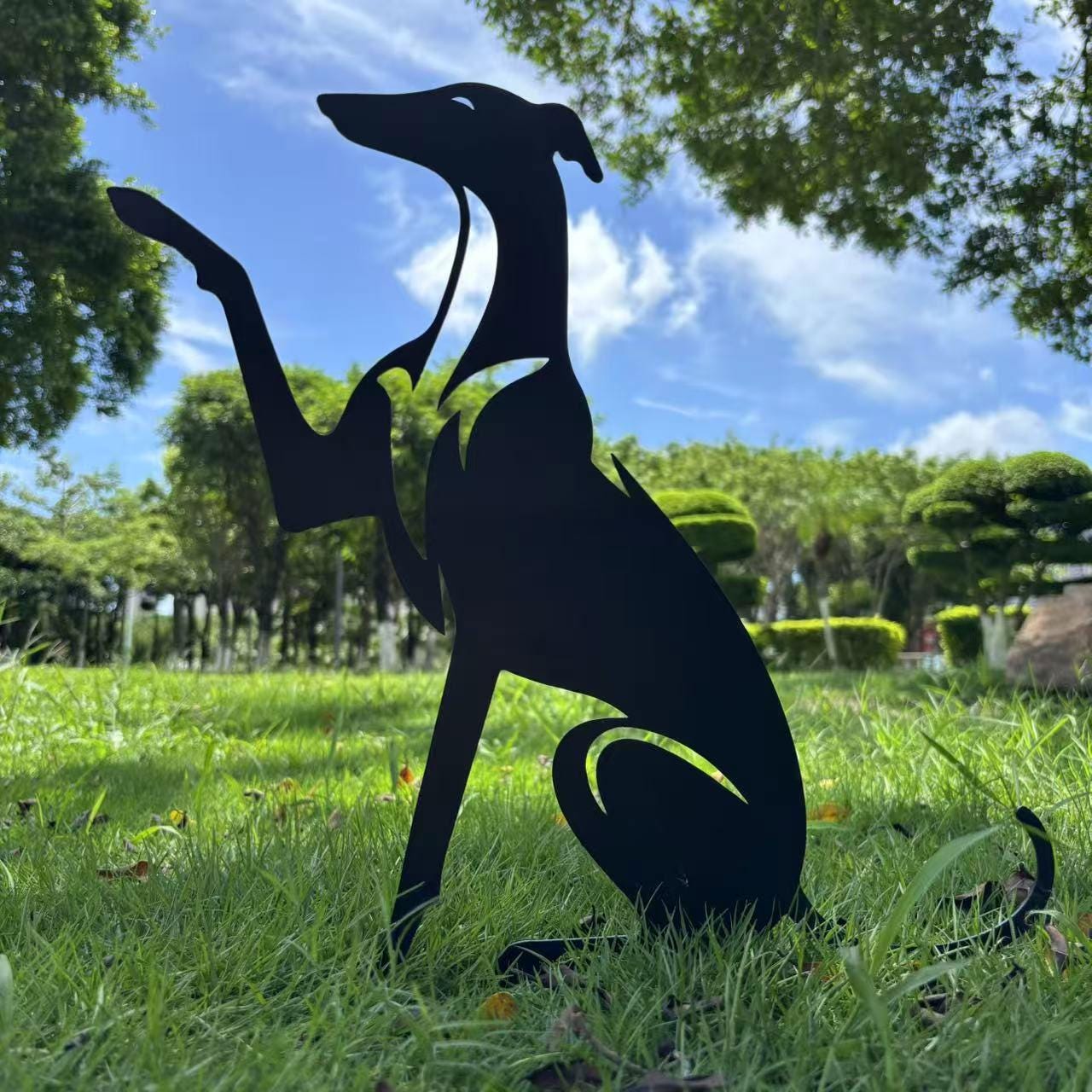 Greyhound Star Australia