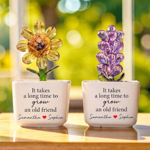 Anpassad Det tar lång tid att odla en gammal vän Keramisk krukväxt, Växtkruka Present till vänner, Present till bästa vänner, Soul Sisters Presenter