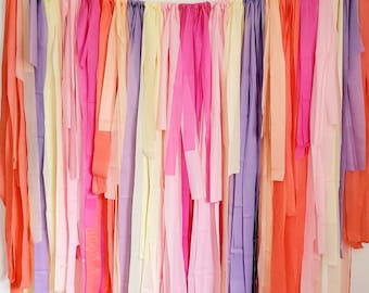 Fringe backdrop,streamer backdrop,Bachelorette party backdrop,birthday party backdrop,Bachelorette,Bachelorette party ideas, party backdrop