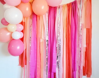 Fringe backdrop,streamer backdrop, Bachelorette party backdrop,birthday party backdrop,Bachelorette,Bachelorette party ideas, party backdrop