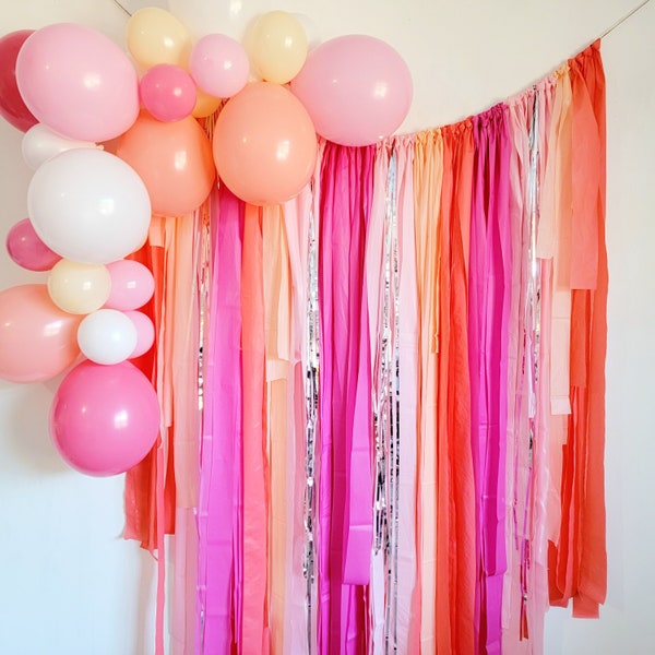 Fringe backdrop,streamer backdrop, Bachelorette party backdrop,birthday party backdrop,Bachelorette,Bachelorette party ideas, party backdrop