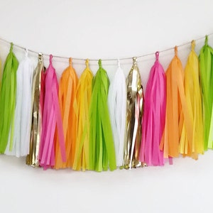 Hawaiian tassel garland,luau tassel garland,neon fringe,cocktail party, pool party garland, Hawaiian luau decoration,luau,swim party,garland