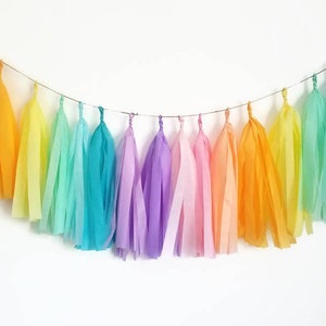 Rainbow tassel garland,pastel rainbow garland,rainbow Garland,Unicorn party Garland, unicorn party,rainbow party, Unicorn decorations