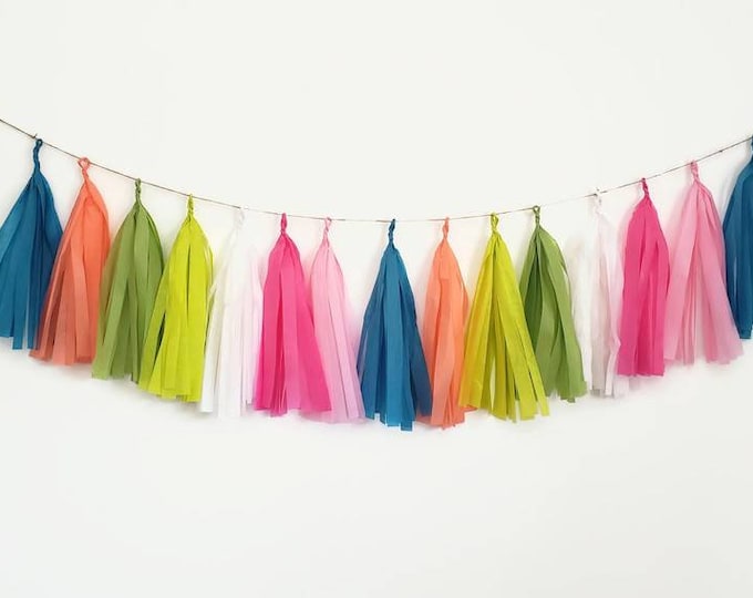 Tissue paper tassel garland,boho tassel garland,tassel garland, rainbow garland,boho rainbow  Garland,llama party,fiesta  Garland,llama,boho