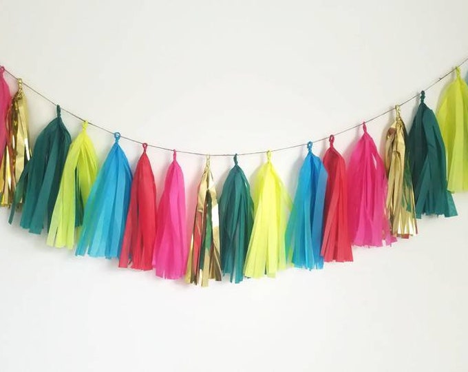 Tissue paper garland,tassel garland,fiesta,Cinco de Mayo,fiesta party,taco party,custom garland,birthday party,first birthday,garland