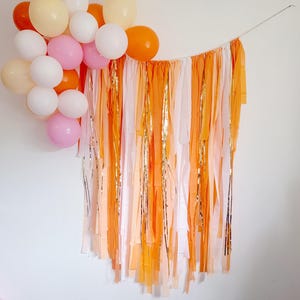 Peach and orange streamer backdrop, fringe backdrop,birthday fringe curtain,photo booth backdrop,birthday party decor,Bachelorette backdrop