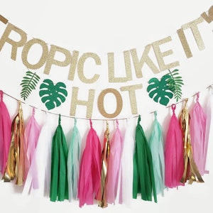 Trópico como si fuera estandarte caliente, guirnalda tropical, despedida de soltera tropical, guirnalda de borlas, despedida de soltera, despedida de soltera, estandarte de despedida de soltera, trópico
