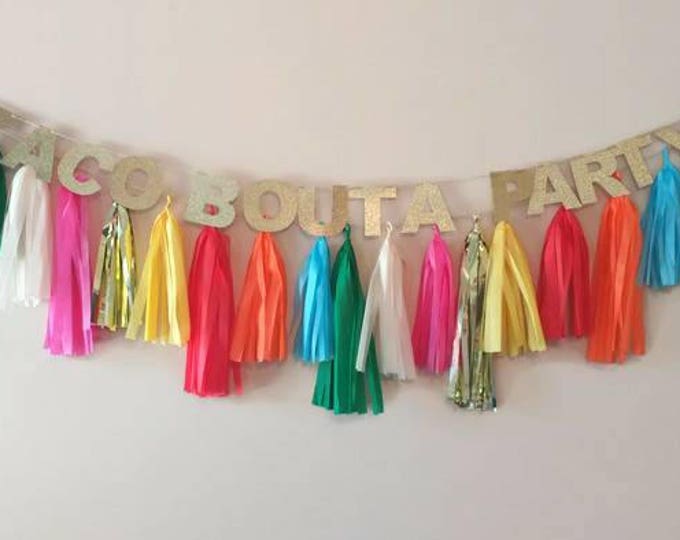 Taco bout a party!fiesta party,taco party,fiesta garland,tassel garland, Cinco de Mayo,taco party decoration,custom banner,taco Tuesday