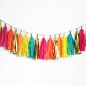 Tissue paper tassel garland,tassel garland,tassel fringe,custom garland,neon garland,glow party,fiesta,birthday decoration,birthday garland image 1