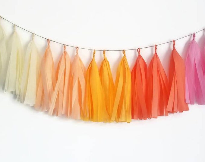 Rainbow tassel garland,boho rainbow garland,rainbow Garland,boho party,boho rainbow party,rainbow party, boho party decorations,boho rainbow