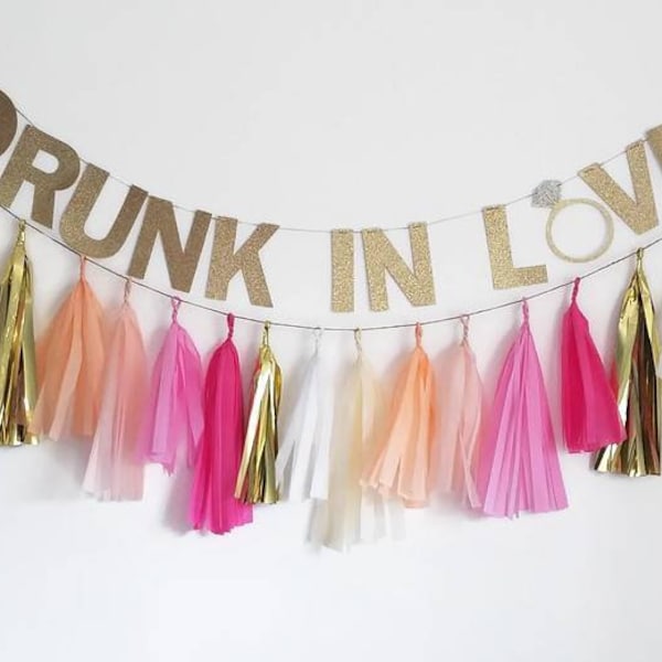 Drunk in love banner,engagment garland, Bachelorette tassel garland,Bachelorette party,Bachelorette decor,last fling before the ring,garland