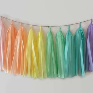 Rainbow tassel garland,unicorn tassel garland,rainbow fringe,pastel tassel,baby shower,rainbow party,unicorn party,tween party,rainbow