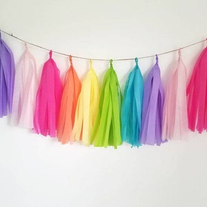 Tissue paper tassel,tassel garland,rainbow tassel Garland,rainbow banner,ice cream party,birthday party garland,Pastel garland,trolls party