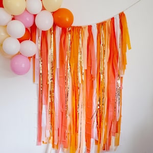 Pink and orange streamer backdrop, fringe backdrop,birthday fringe curtain,photo booth backdrop,birthday party decor,aperol spritz Bach