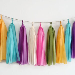 Fiesta tassel garland,rainbow tassel garland,fringe,tassel,first birthday garland,Birthday garland,nursery garland,pink,purple,turquoise