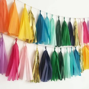 Tissue paper tassel Garland, tassel Garland, rainbow tassel Garland,rainbow Garland, rainbow banner, custom Garland,rainbow,custom tassel