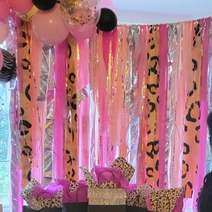 Fringe backdrop,streamer backdrop, Bachelorette party backdrop,birthday party backdrop,Birthday,Bachelorette,pink party backdrop,leopard