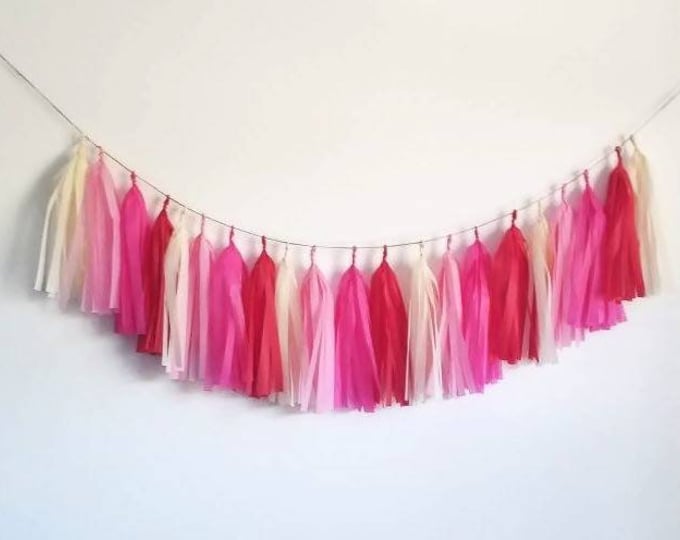 Tassel Garland,Pink tassel garland,tissue paper garland,valentine garland,valentine banner,Valentine decoration,Pink and red,custom garland