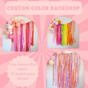 Custom Fringe backdrop,streamer backdrop,custom backdrop,birthday party decoration,photo backdrop,custom decoration,Bachelorette,fringe wall